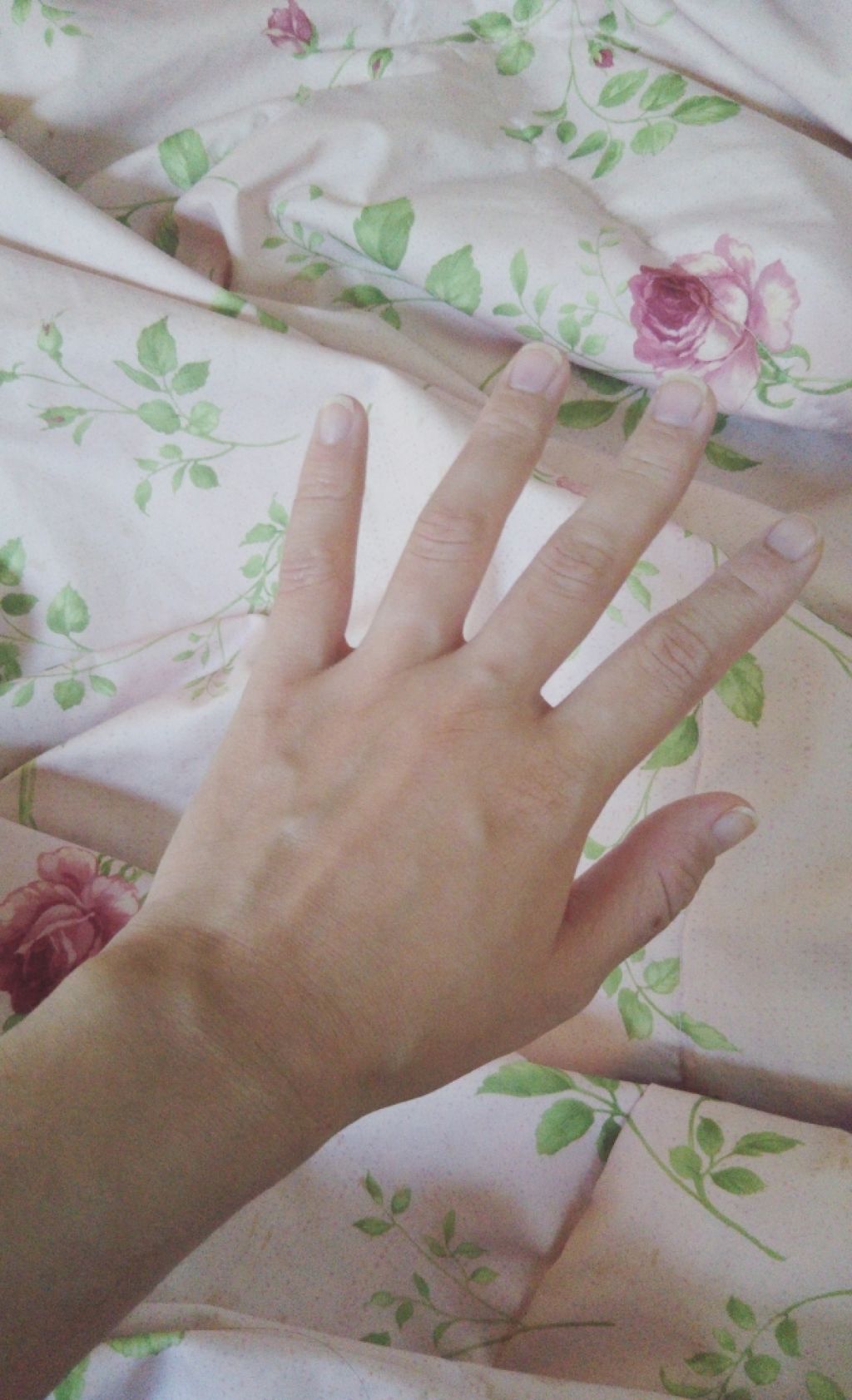 あぁや♪ on LIPS 「だいぶ使ってるのが変わってきたので去年もやりました1日のルーテ..」(3枚目)