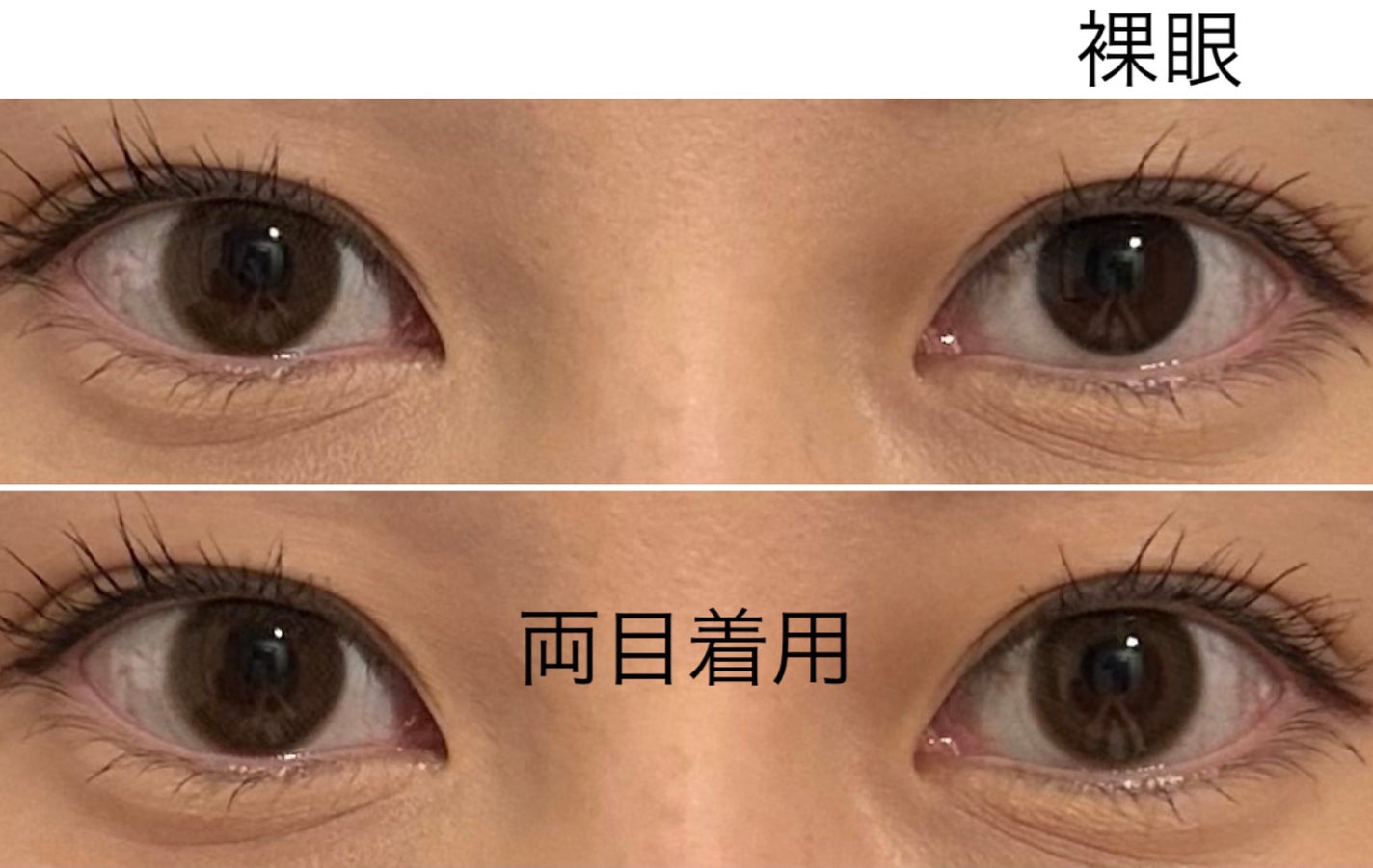 TOPARDS 1day/TOPARDS/ワンデー(1DAY)カラコンを使ったクチコミ(3枚目)