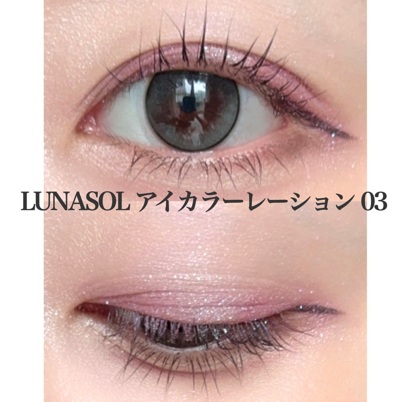 アイカラーレーション/LUNASOL/アイシャドウパレットを使ったクチコミ(3枚目)