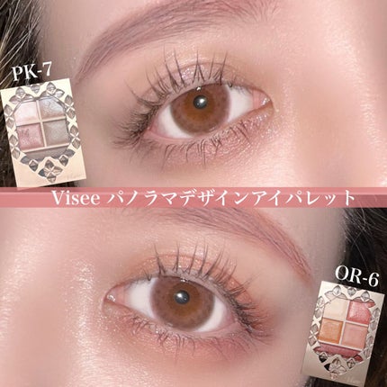 パノラマデザイン アイパレット/Visée/アイシャドウパレットを使ったクチコミ(1枚目)