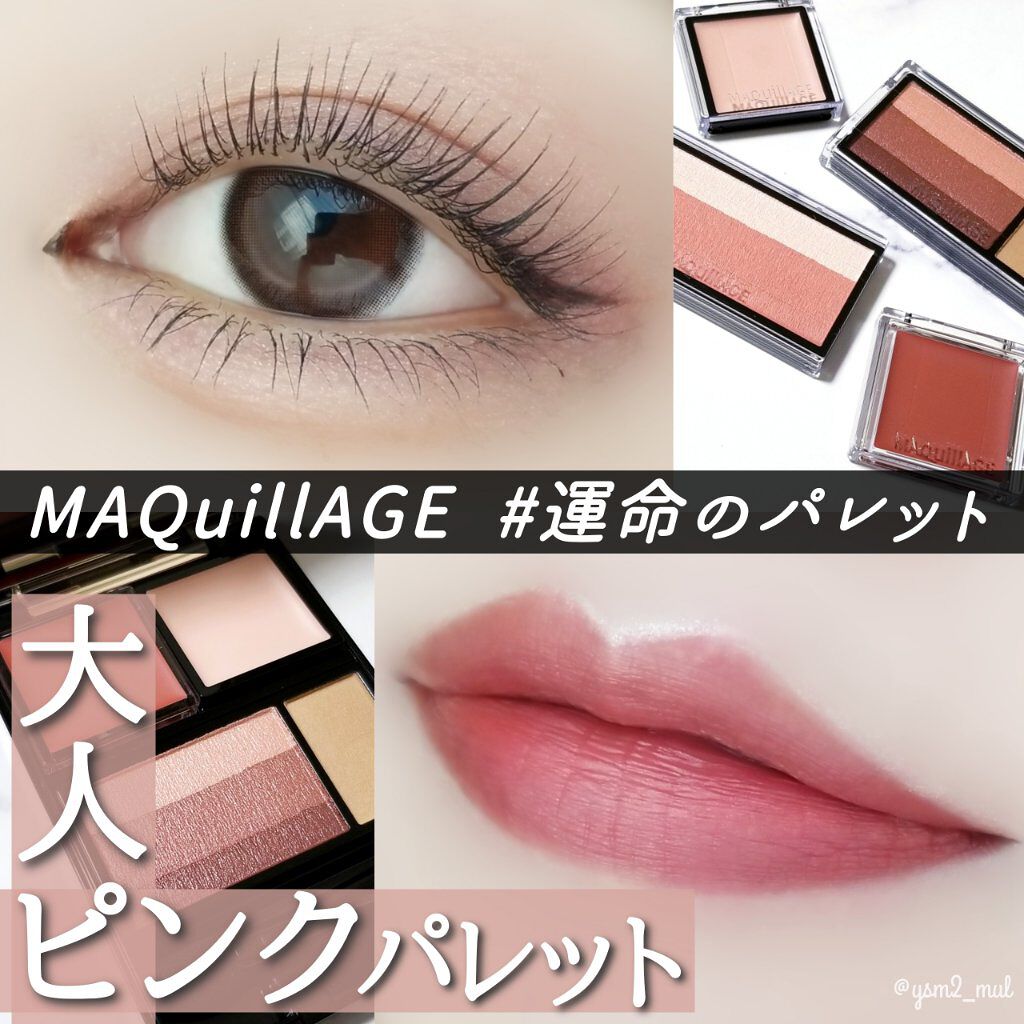 ドラマティックアイカラー (マルチ) RD342 ベリーティラミス/マキアージュ/マルチパレットを使ったクチコミ（1枚目）