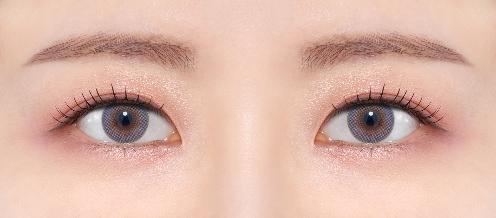 FrenchShine1day lavender