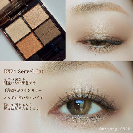 アイカラーレーション/LUNASOL/アイシャドウパレットを使ったクチコミ(2枚目)