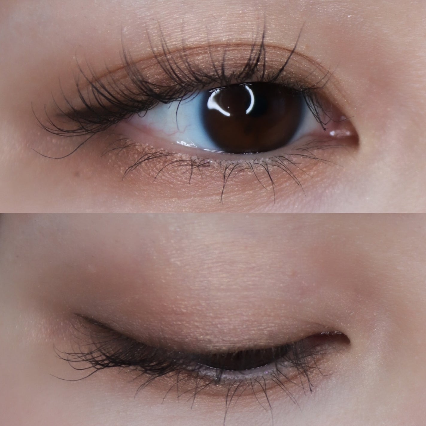 デザイニングブラウンアイズ/KATE/アイシャドウパレットを使ったクチコミ(5枚目)