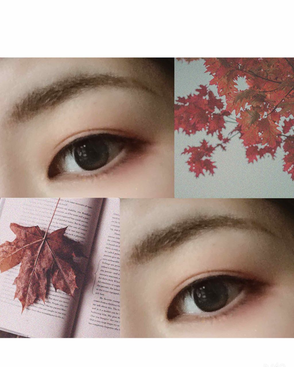 ドーリークロスタイプ 上つけまつげ/キャンドゥ/つけまつげを使ったクチコミ（1枚目）