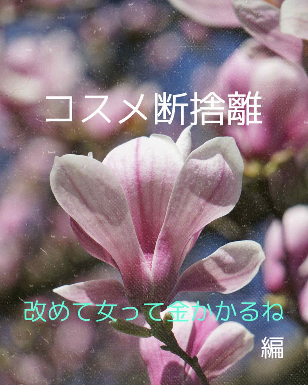 フレーム フィックス モイスチャライジング ソリッド ファンデーション/SUQQU/クリーム・エマルジョンファンデーションを使ったクチコミ（1枚目）