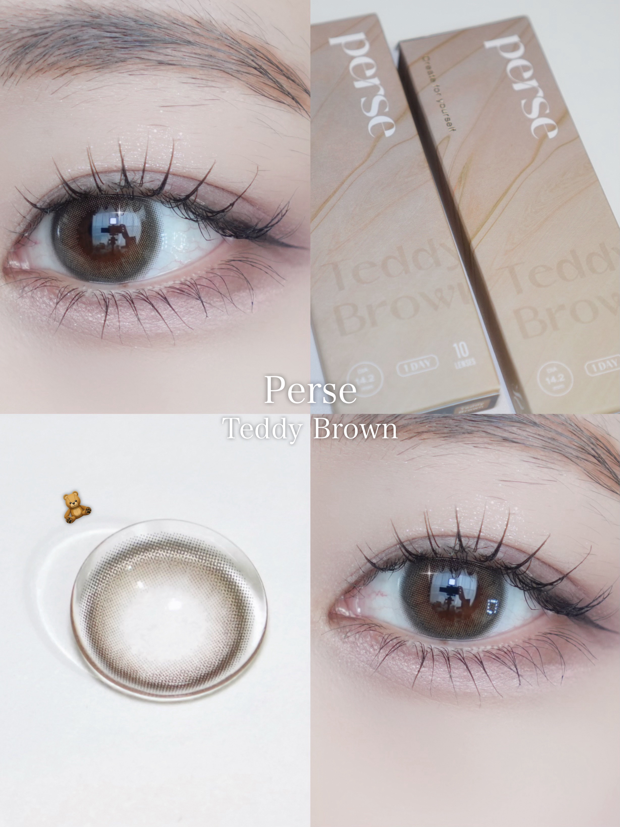 perse 1day テディブラウン/perse/ワンデー（１DAY）カラコンを使ったクチコミ（1枚目）