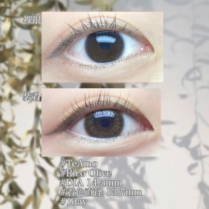 TeAmo 1DAY/TeAmo/ワンデー(1DAY)カラコンを使ったクチコミ(5枚目)