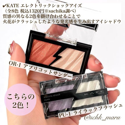 エレクトリックショックアイズ /KATE/アイシャドウパレットを使ったクチコミ(3枚目)