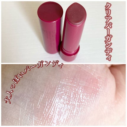 エテュセ リップエディション(プランパー)リッチスタイル/ヘルシースタイル/ettusais/リップケアを使ったクチコミ(3枚目)