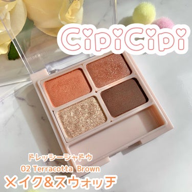 ドレッシーシャドウ 02 テラコッタブラウン/CipiCipi/アイシャドウパレットを使ったクチコミ（1枚目）