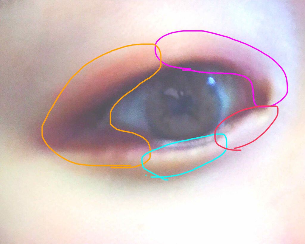 30COLORSEYESHADOWPALETTE/Dolly Angel/アイシャドウパレットを使ったクチコミ(3枚目)