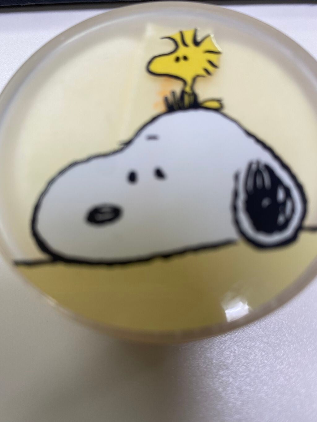 ノーセバム ミネラルパウダー N/innisfree/ルースパウダーを使ったクチコミ(1枚目)