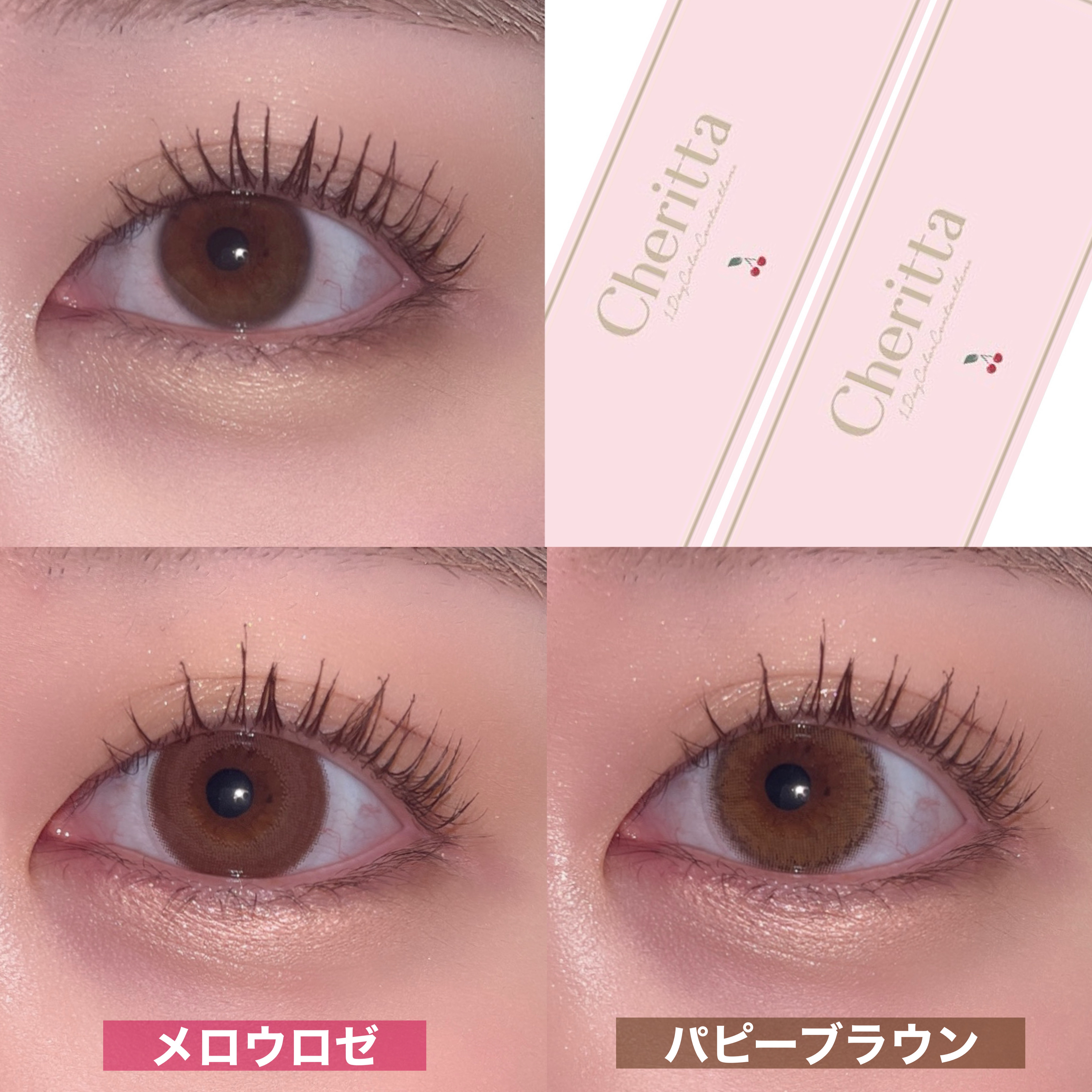 Cheritta 1day パピーブラウン(Puppy Brown)/Cheritta/ワンデー（１DAY）カラコンを使ったクチコミ（3枚目）