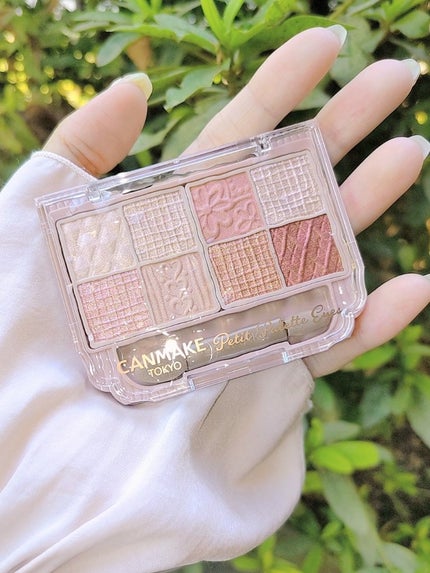 プティパレットアイズ/キャンメイク/パウダーアイシャドウを使ったクチコミ(5枚目)