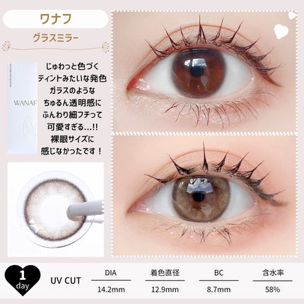 WANAF 1day/WANAF/ワンデー(1DAY)カラコンを使ったクチコミ(3枚目)