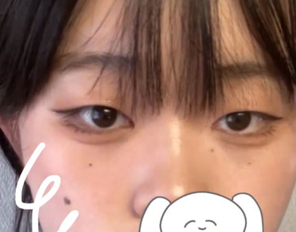 極細 アイライナーR/CEZANNE/リキッドアイライナーを使ったクチコミ(3枚目)