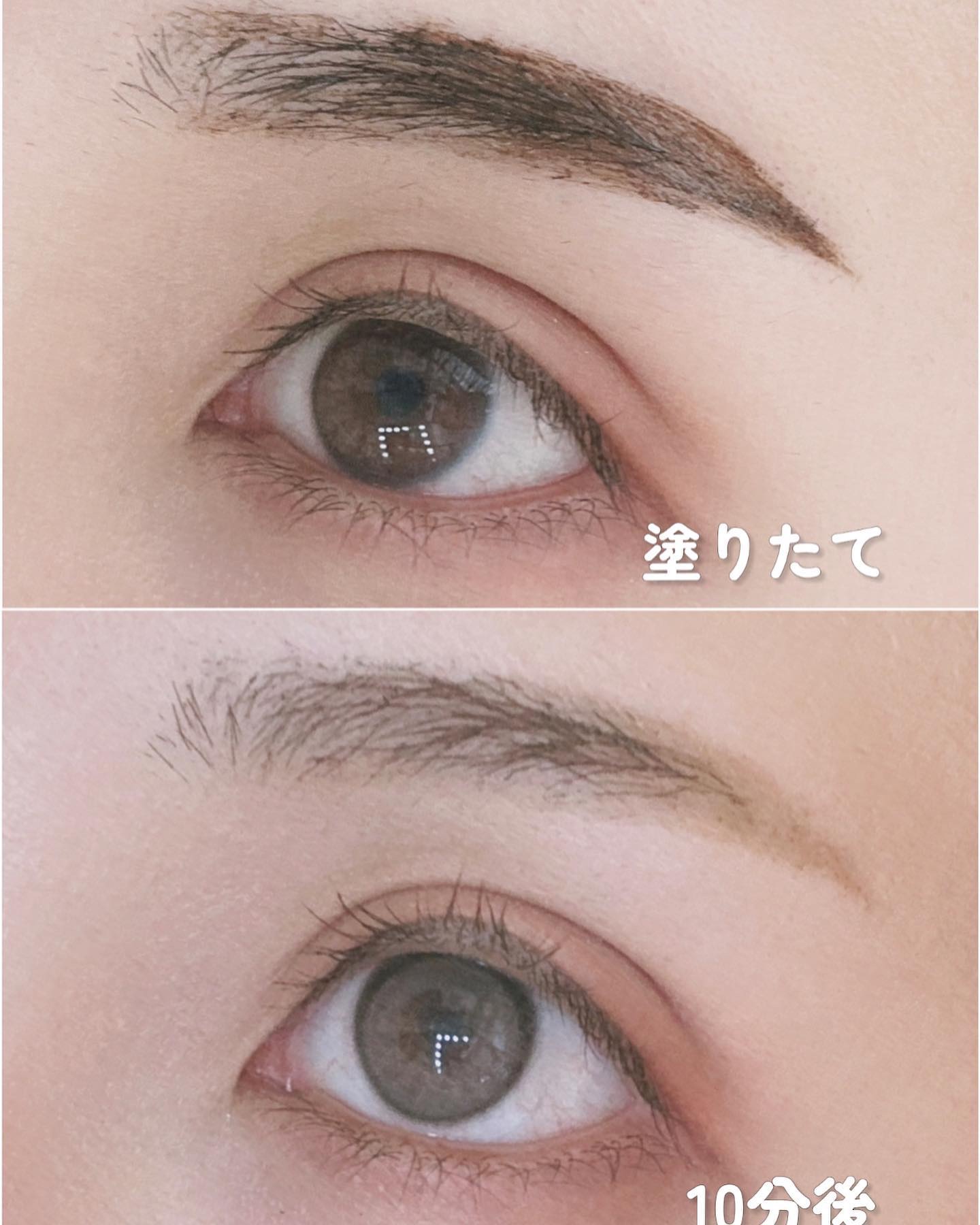 眉ティントSVR/Fujiko/眉ティントを使ったクチコミ（3枚目）