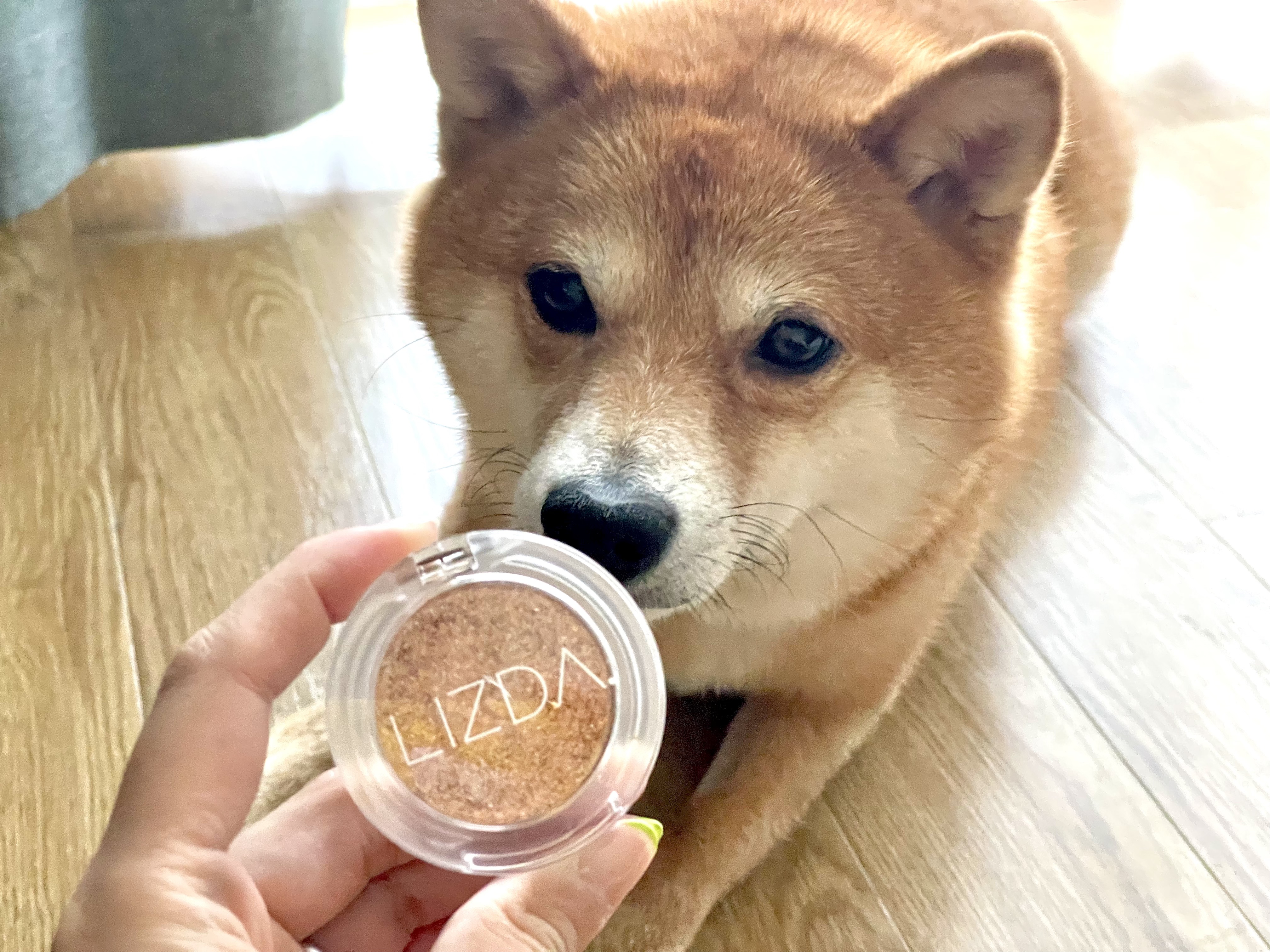 ブリング フィット アイグリッター/LIZDA/グリッターを使ったクチコミ（1枚目）