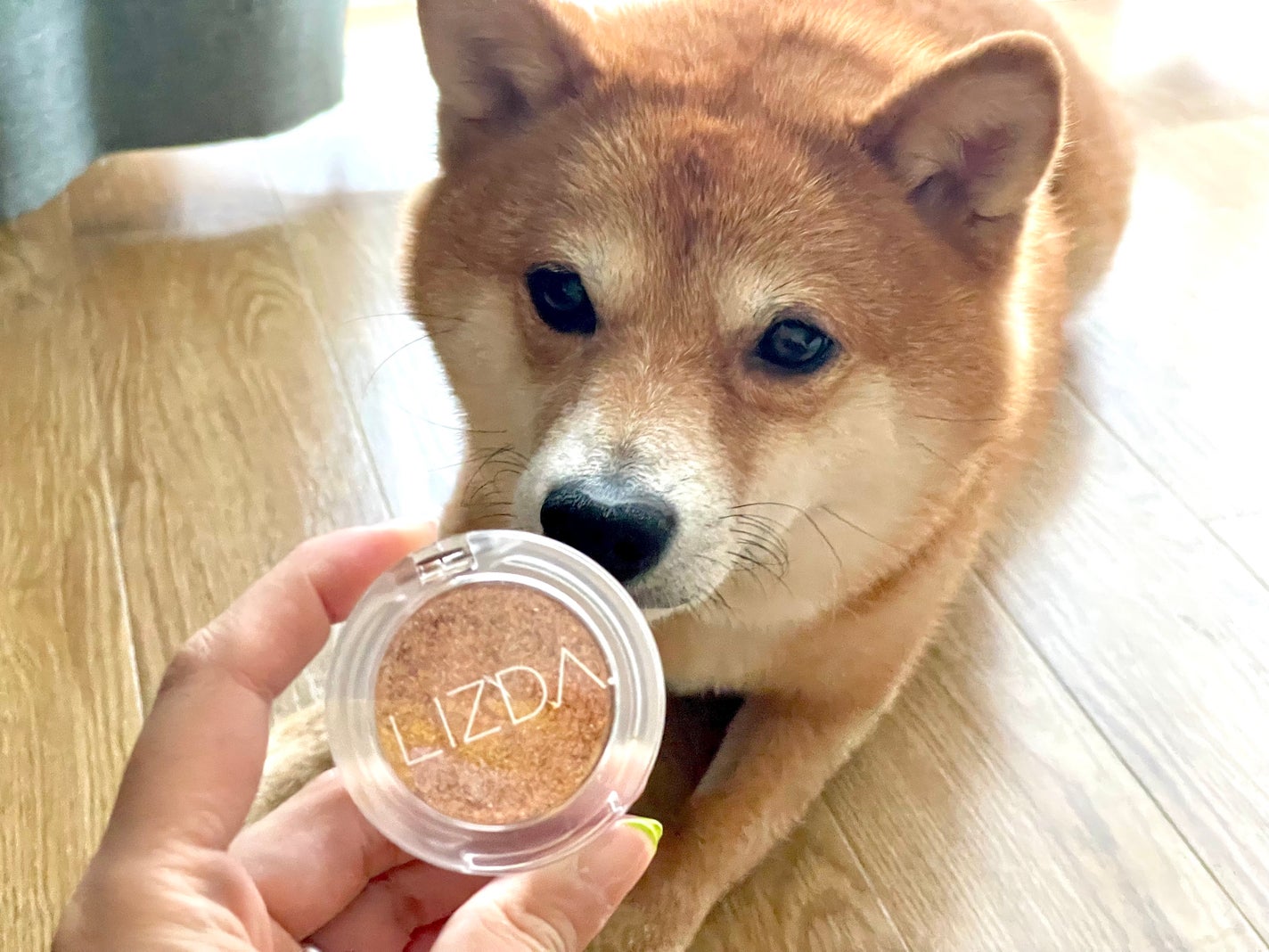 ブリング フィット アイグリッター/LIZDA/グリッターを使ったクチコミ(1枚目)