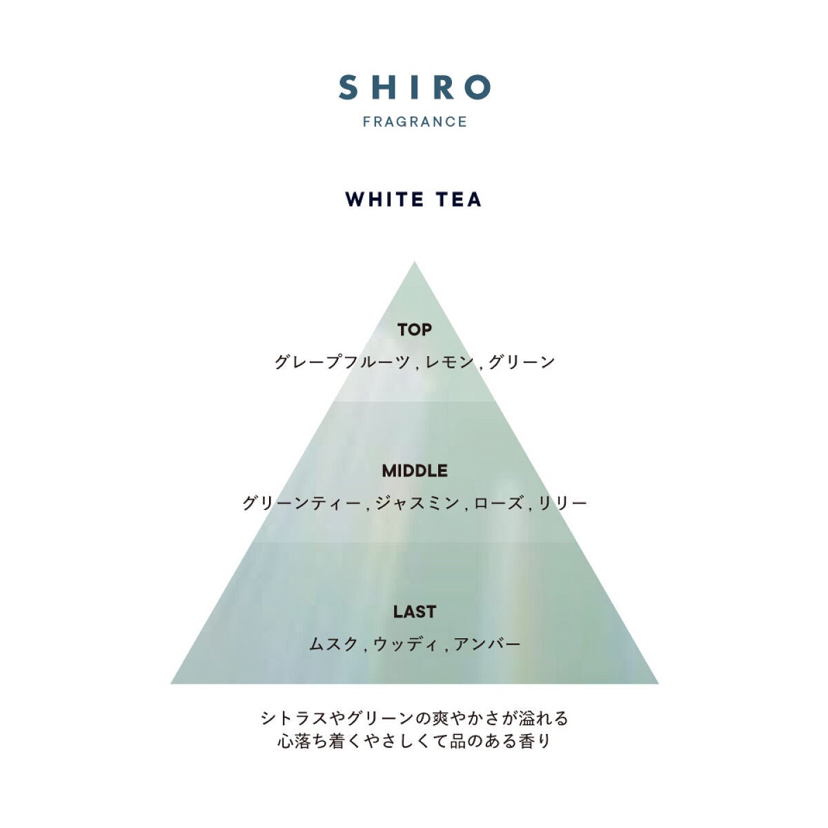 アールグレイ オードパルファン/SHIRO/香水(レディース)を使ったクチコミ(3枚目)