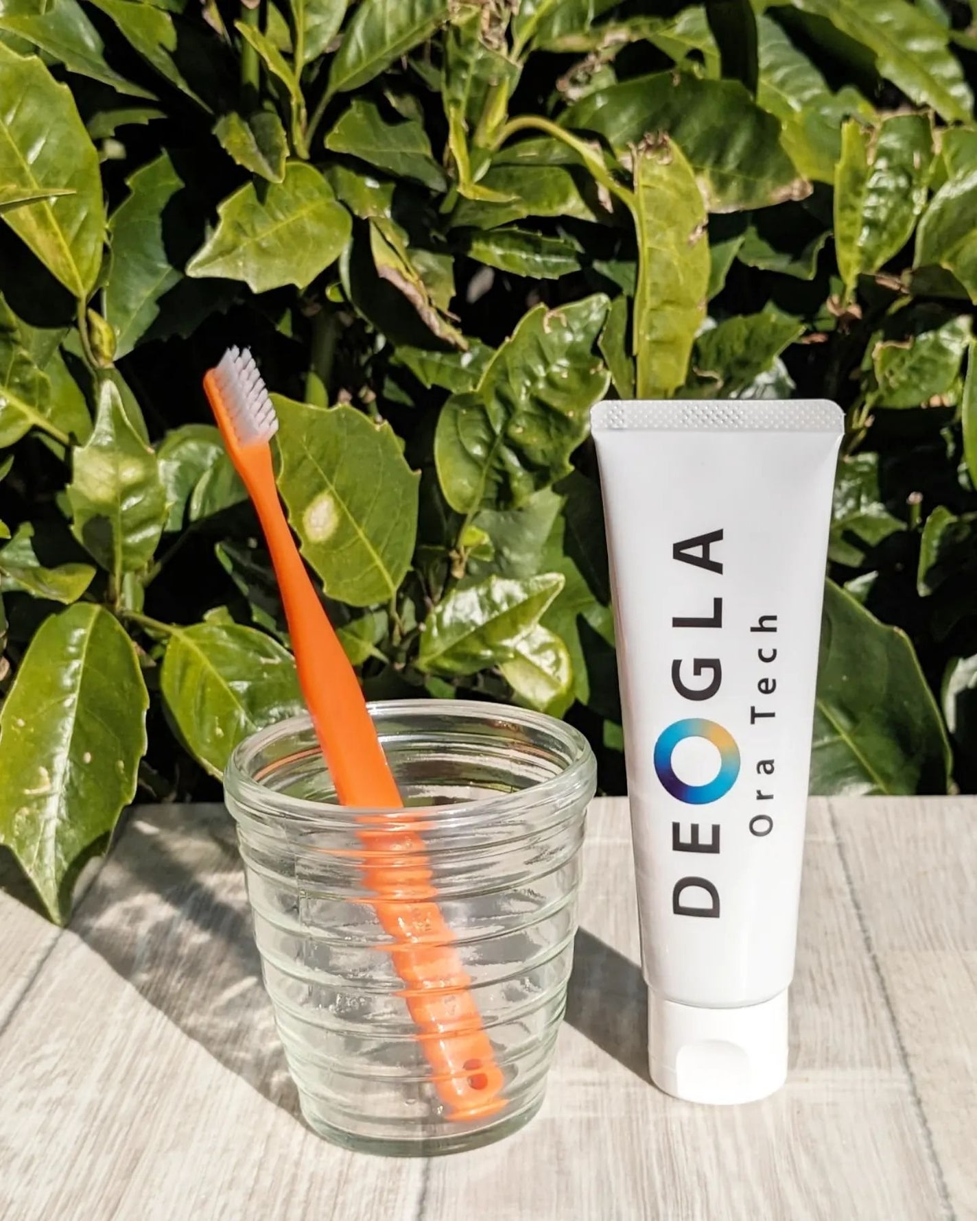 デオグラオーラテック オリジナル/DEOGLA/歯磨き粉を使ったクチコミ(1枚目)