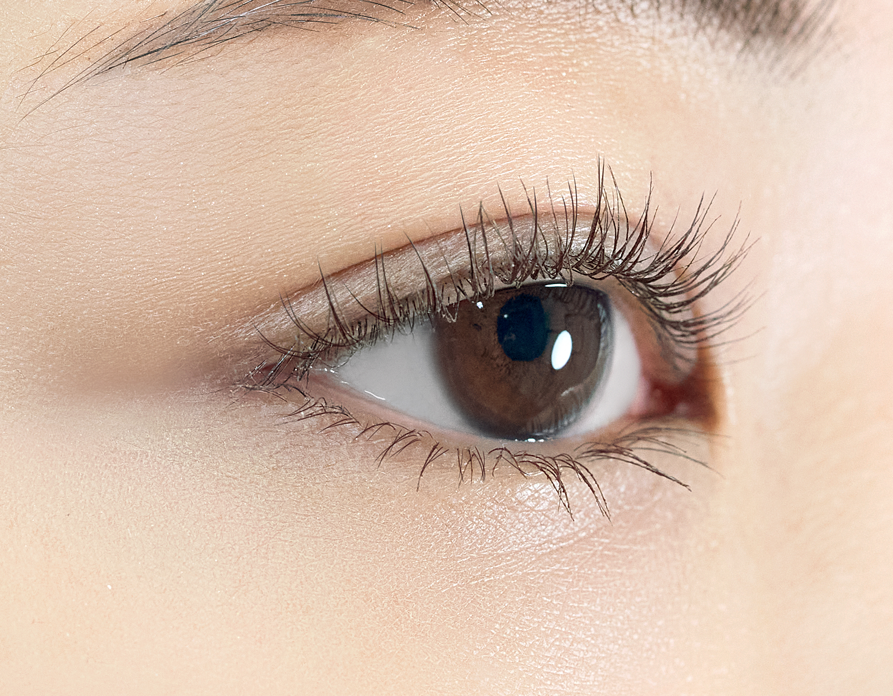 エトワルローズ マスカラN 02 カカオブラウン