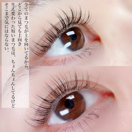 アイスキンケアシャンプー/mesiru/まつげ美容液を使ったクチコミ(7枚目)