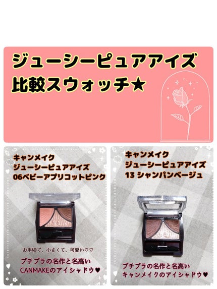 ジューシーピュアアイズ/キャンメイク/アイシャドウパレットを使ったクチコミ(1枚目)