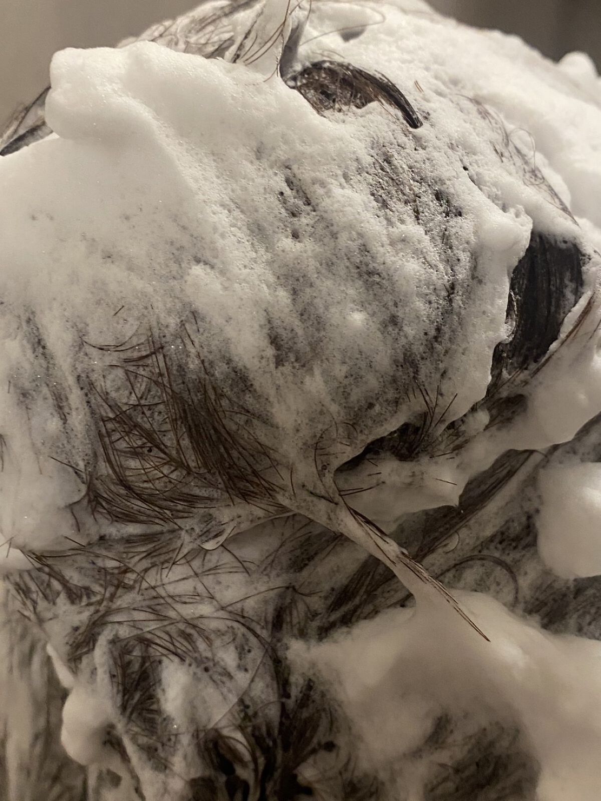 ピュアバー 和漢ハーブシャンプーバー モイスト/purebar/市販シャンプーを使ったクチコミ（3枚目）