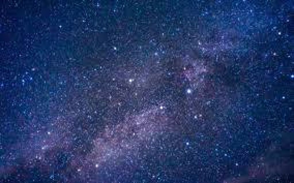 洗顔フォーム/セリア/洗顔フォームを使ったクチコミ（1枚目）