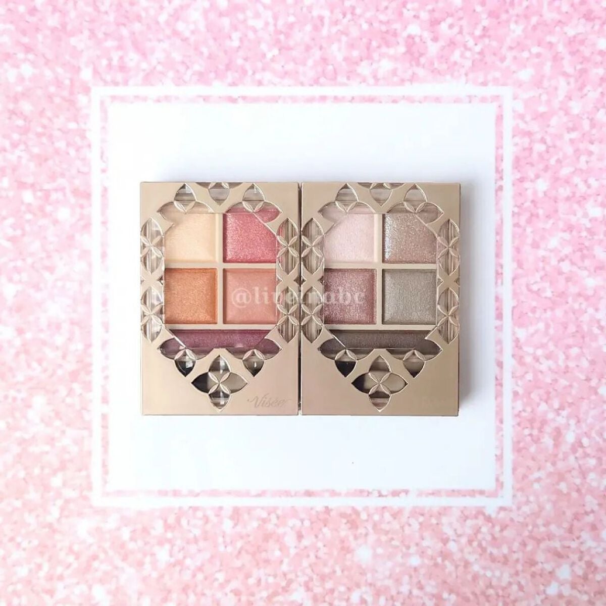 パノラマデザイン アイパレット/Visée/アイシャドウパレットを使ったクチコミ(1枚目)