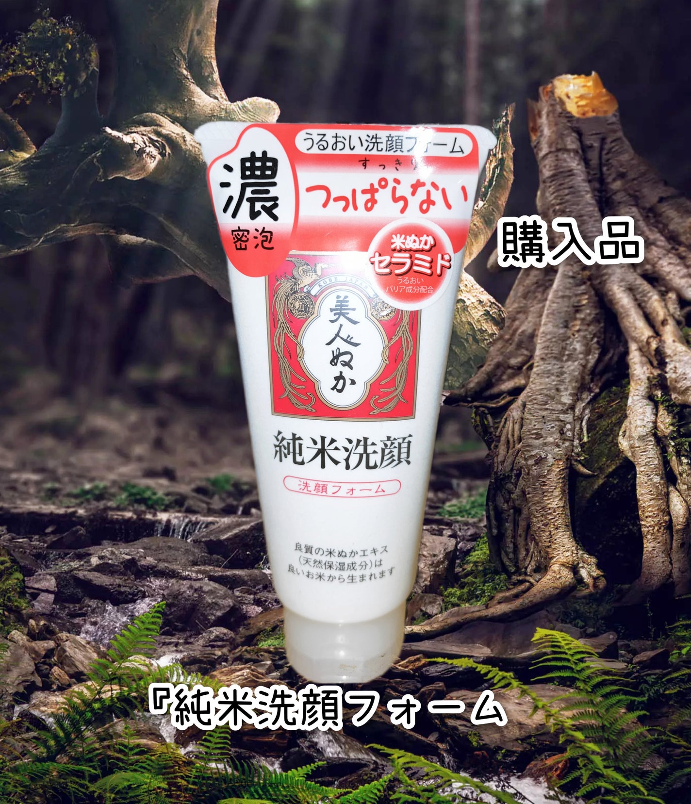 純米洗顔フォーム/美人ぬか/洗顔フォームを使ったクチコミ(1枚目)