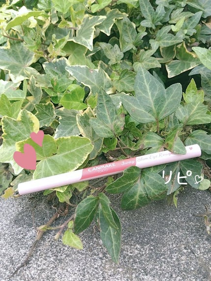 3wayスリムアイルージュライナー/キャンメイク/リキッドアイライナーを使ったクチコミ(1枚目)