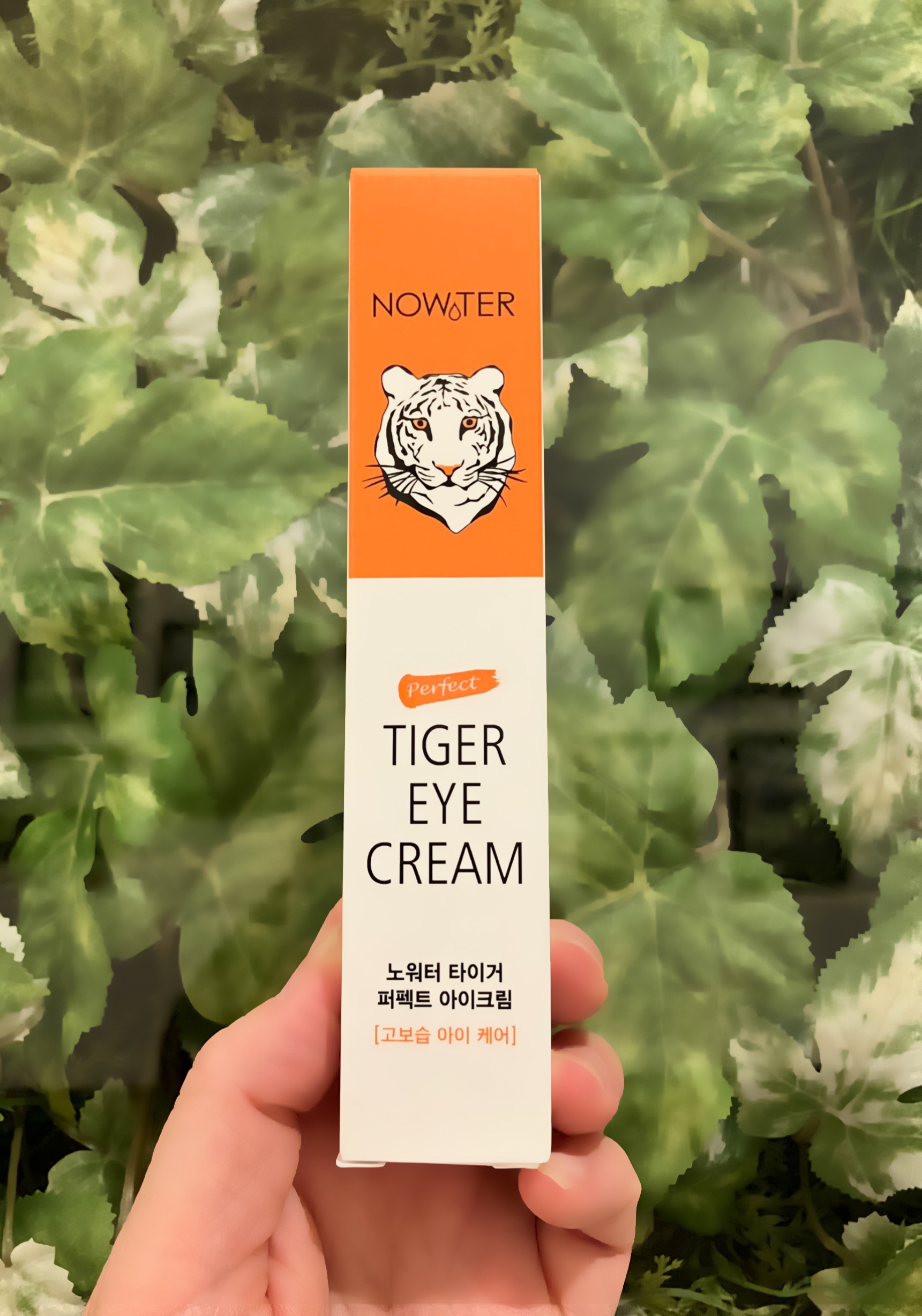 タイガーパーフェクトアイクリーム/NOWATER/アイケア・アイクリームを使ったクチコミ（1枚目）