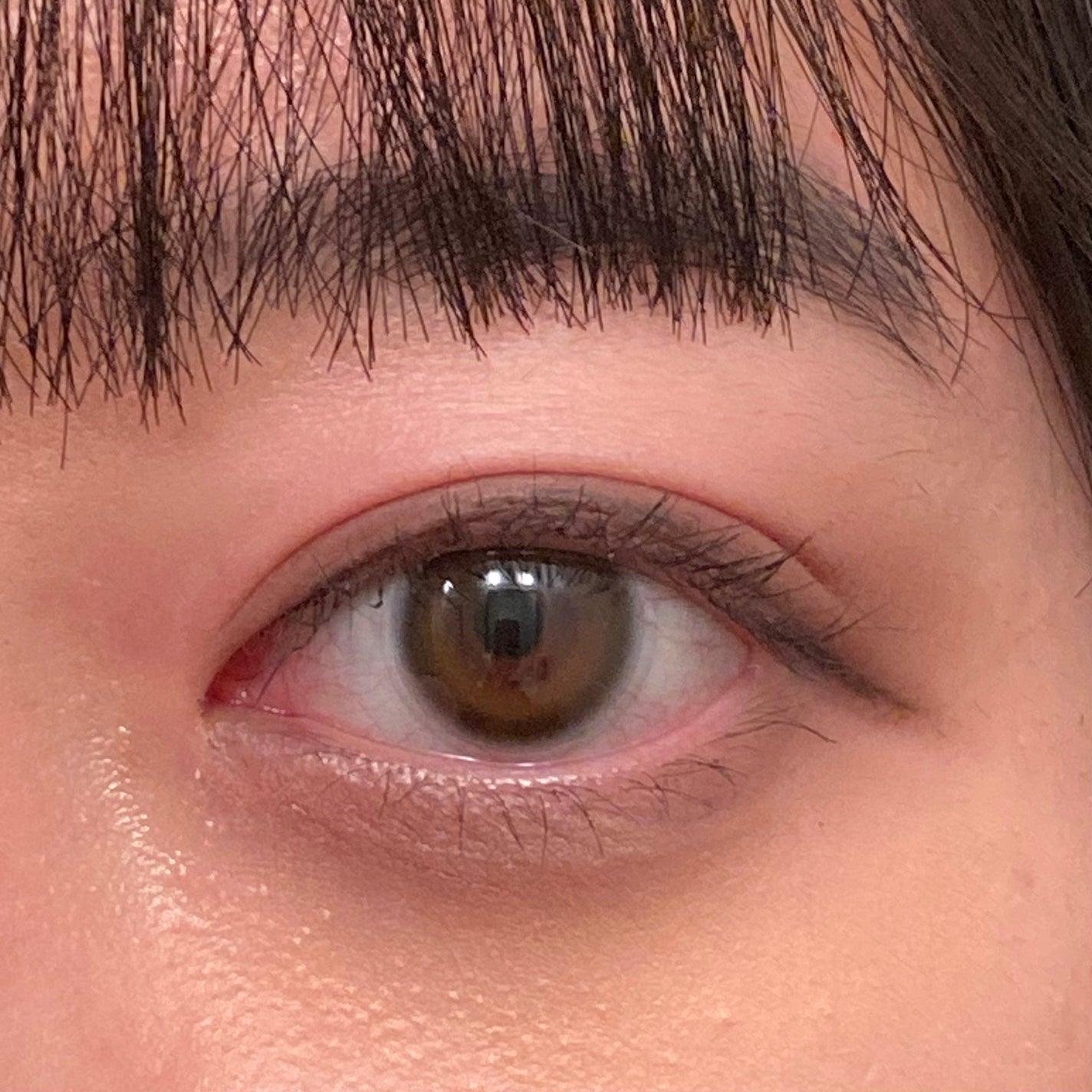 ReVIA 1day/ReVIA/ワンデー(1DAY)カラコンを使ったクチコミ(1枚目)