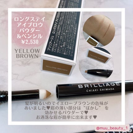 ロングステイ アイブロウパウダー&ペンシル/ブリリアージュ/アイブロウペンシルを使ったクチコミ(3枚目)