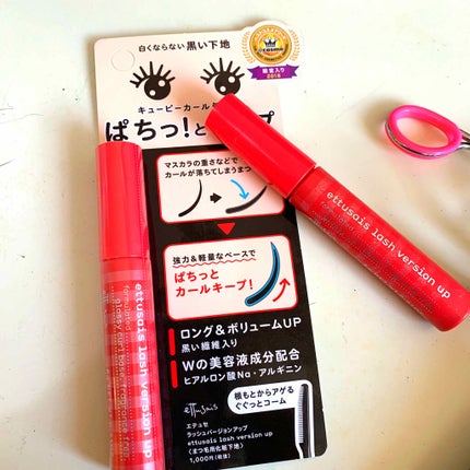 ラッシュバージョンアップ(リッチロング)/ettusais/マスカラ下地を使ったクチコミ(1枚目)