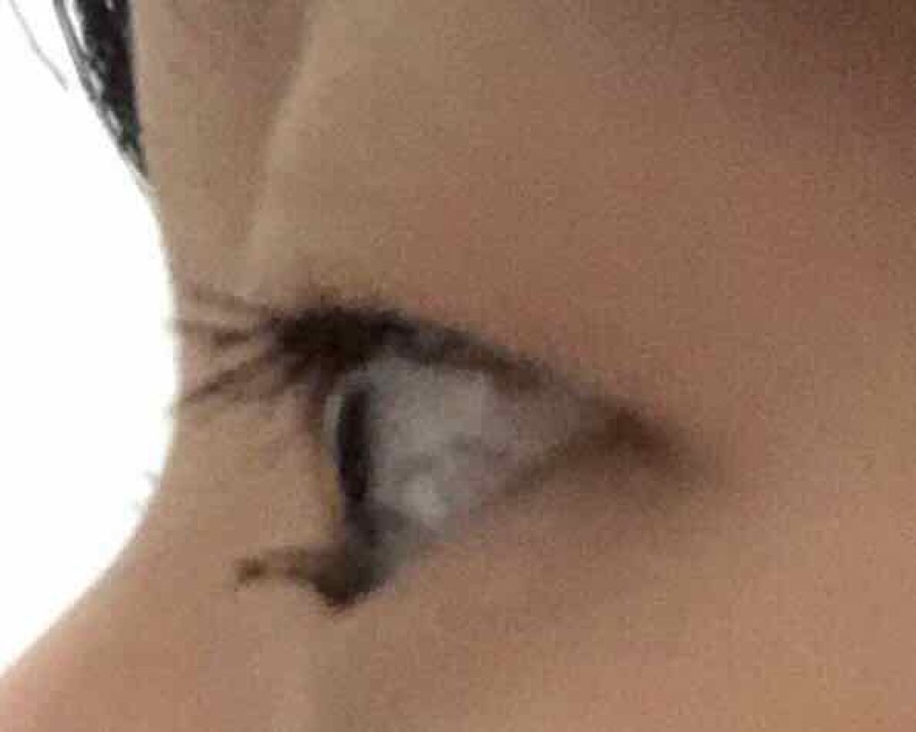 クイックラッシュカーラー/キャンメイク/マスカラ下地を使ったクチコミ（2枚目）