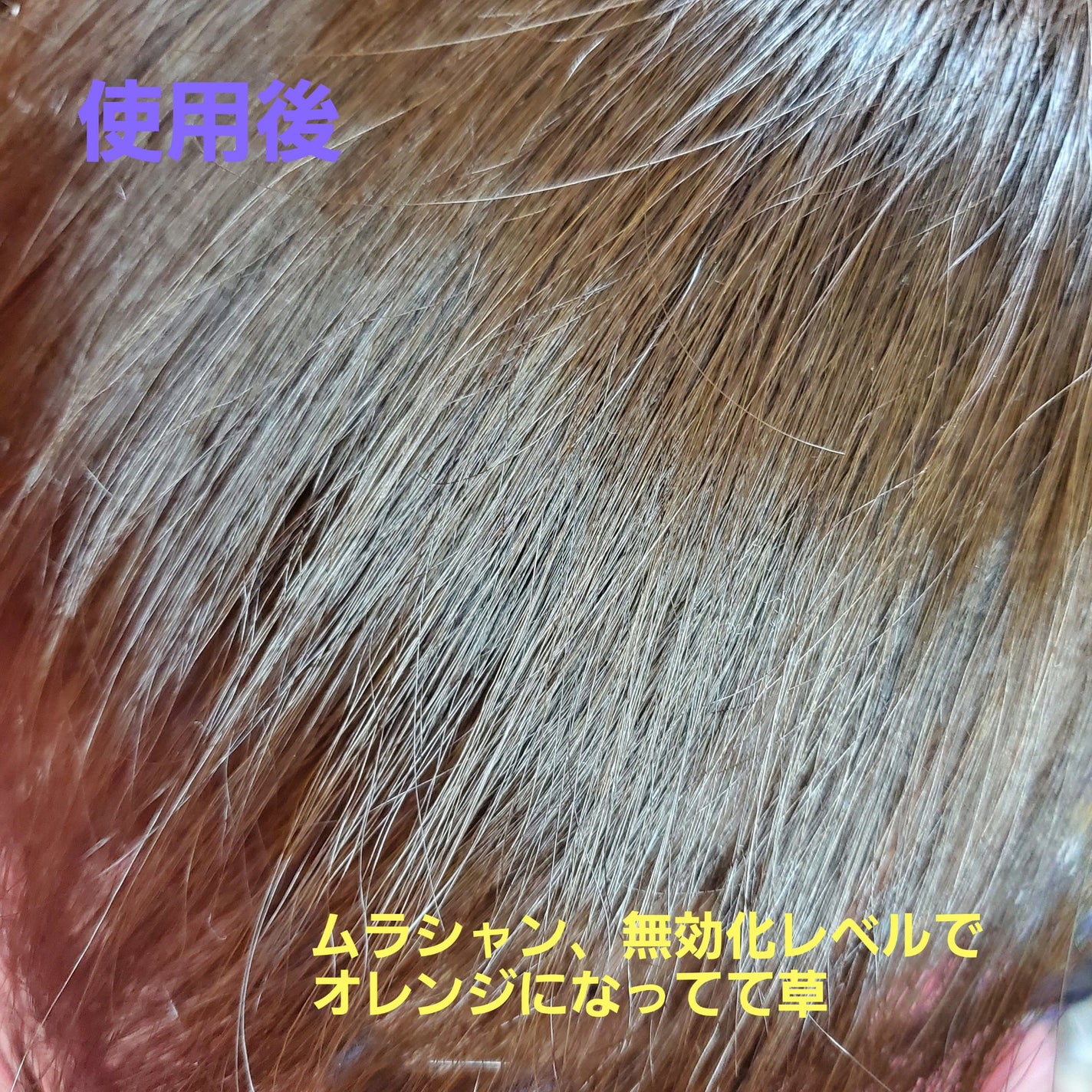 ボンディング・トーニングカラーシャンプー/got2b/市販シャンプーを使ったクチコミ(4枚目)