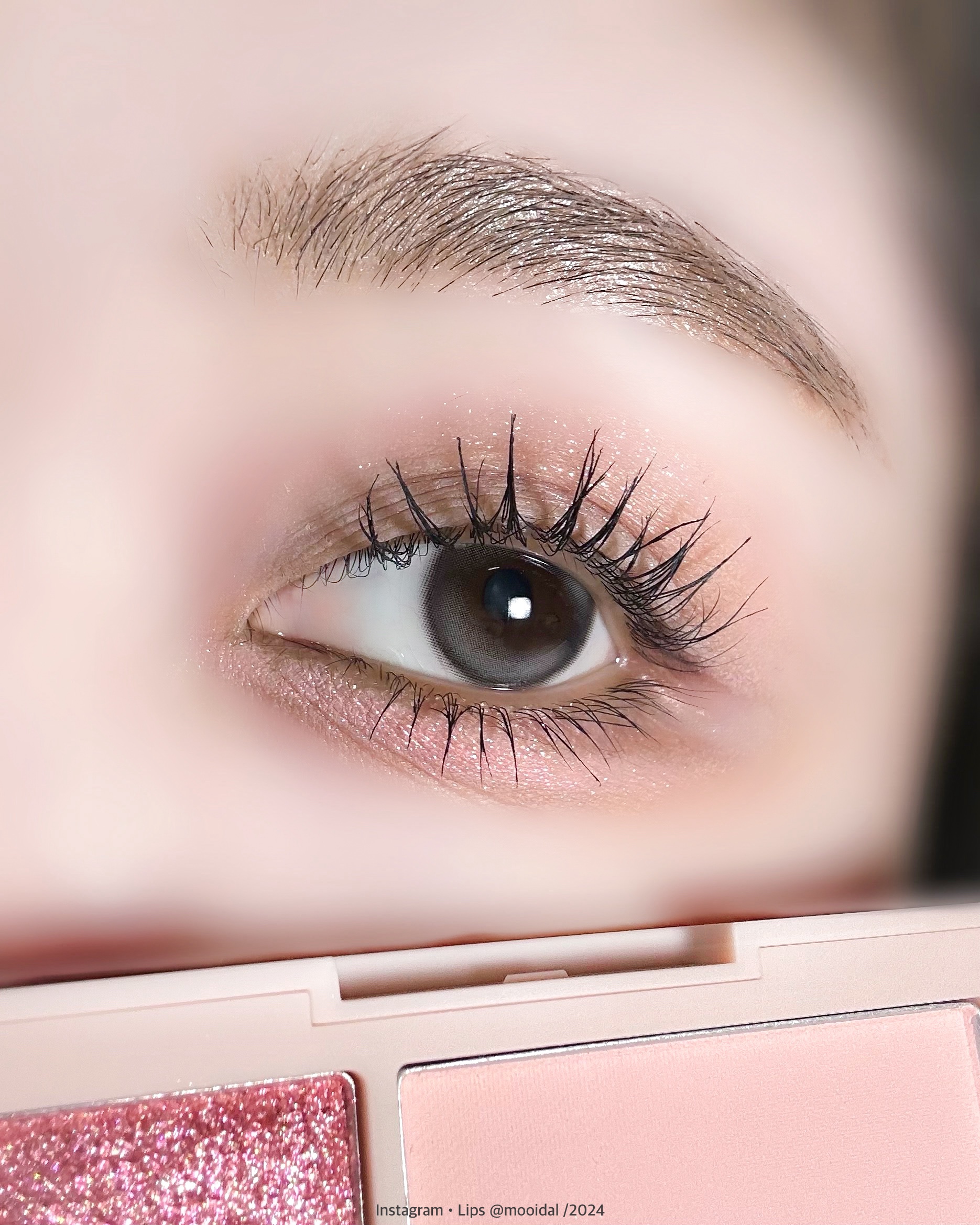 （ルシャブートコレクション）チーク＆アイ マルチユーズ パレット 762 Pink Chat/Dinto/パウダーチークを使ったクチコミ（3枚目）