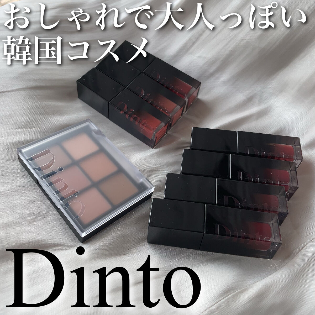 ブラーフィニシュシャドウパレット｜Dinto他、1商品を使った