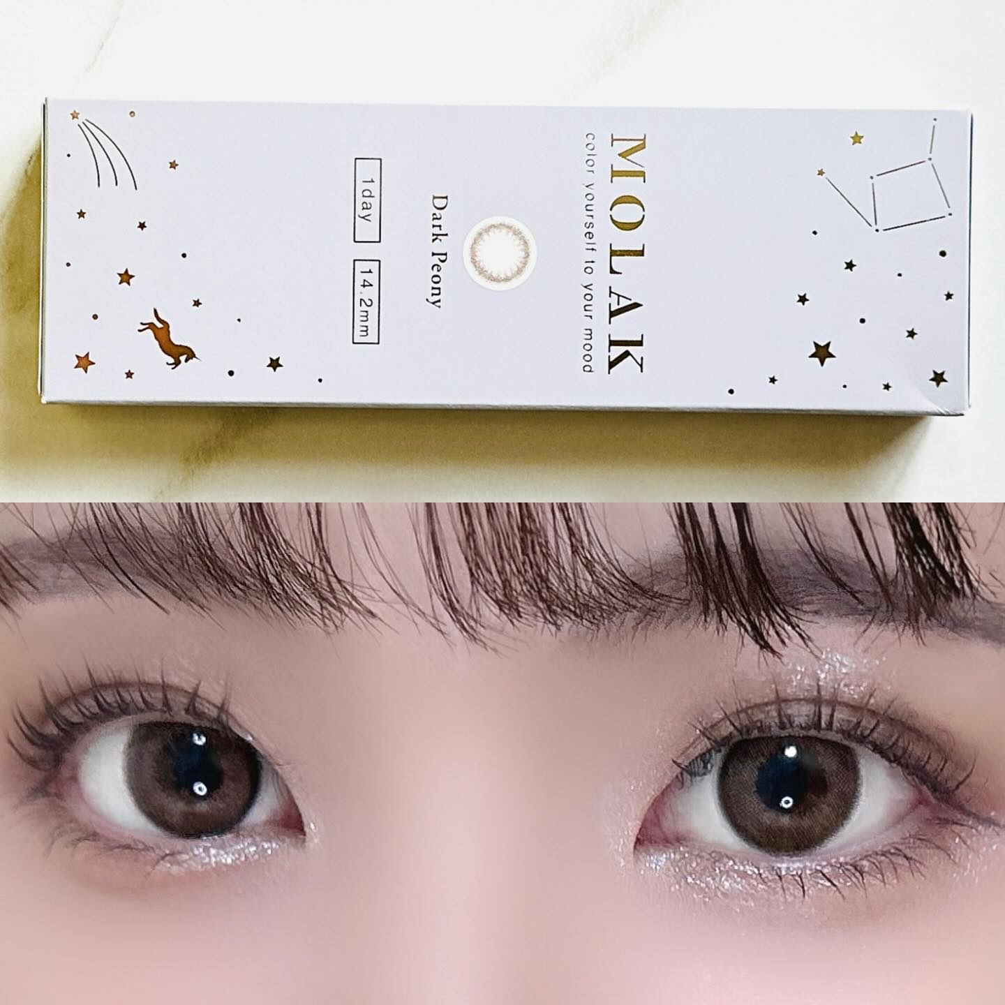 MOLAK 1day ダークピオニー/MOLAK/ワンデー（１DAY）カラコンを使ったクチコミ（3枚目）