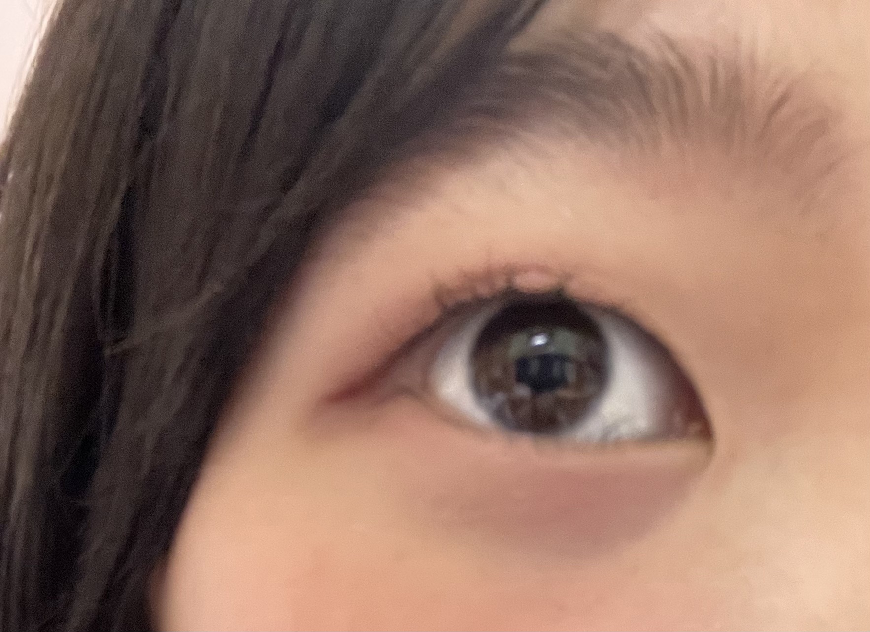 ＵＧＴ　ドットアイカラーパレット 04c　ベリー/U R GLAM/アイシャドウパレットを使ったクチコミ（1枚目）