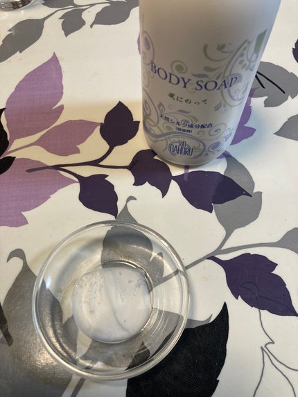 風に乗って/サンナホル/ボディソープを使ったクチコミ(2枚目)