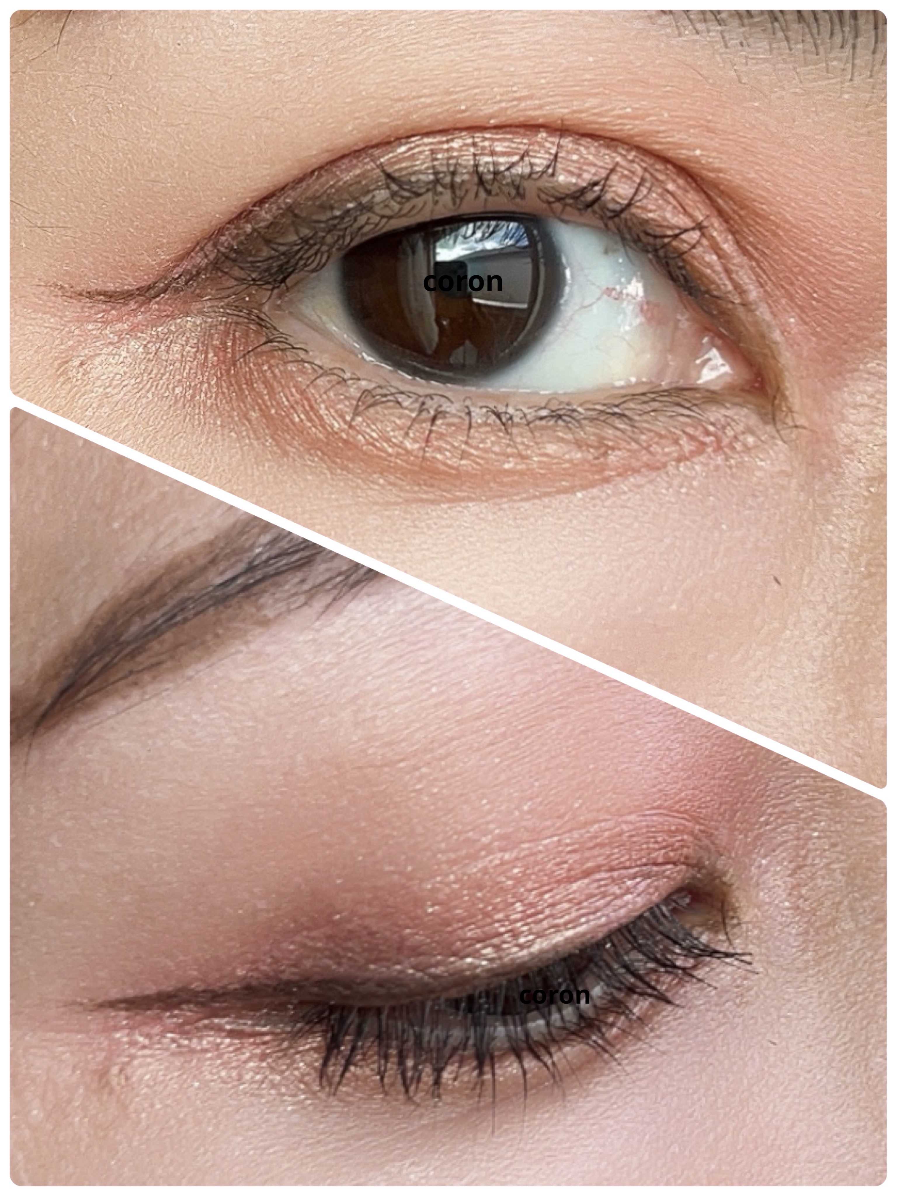 「塗るつけまつげ」ロングタイプ/デジャヴュ/マスカラを使ったクチコミ（2枚目）