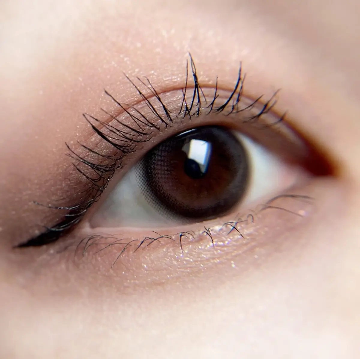 マリナシリーズ	 マリナグレー/LENSSIS/カラーコンタクトレンズを使ったクチコミ（2枚目）