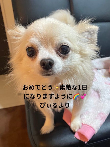 カラフルネイルズ/キャンメイク/マニキュアを使ったクチコミ(5枚目)