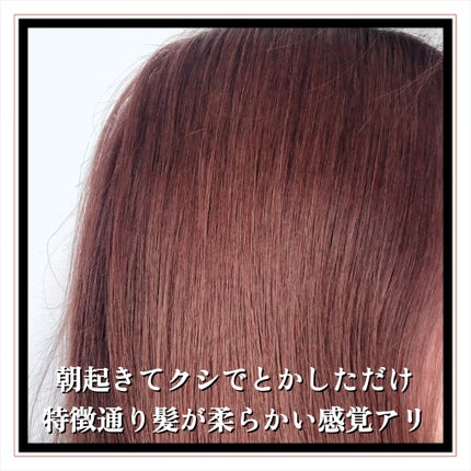 パフュームディフューザー/KUNDAL/ルームフレグランスを使ったクチコミ(6枚目)