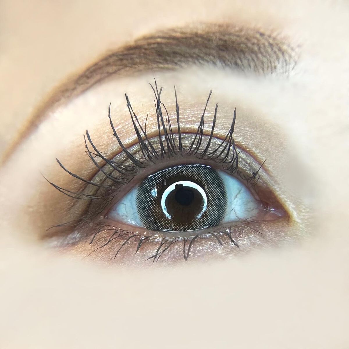 レ キャトル オンブル ツイード/CHANEL/アイシャドウパレットを使ったクチコミ(3枚目)